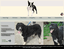 Tablet Screenshot of boston-terriers.it